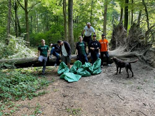 Bild IV